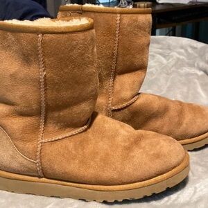 Short Chestnut Uggs